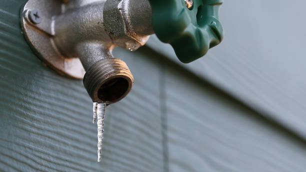 Best Residential Plumbing Services  in Citronelle, AL