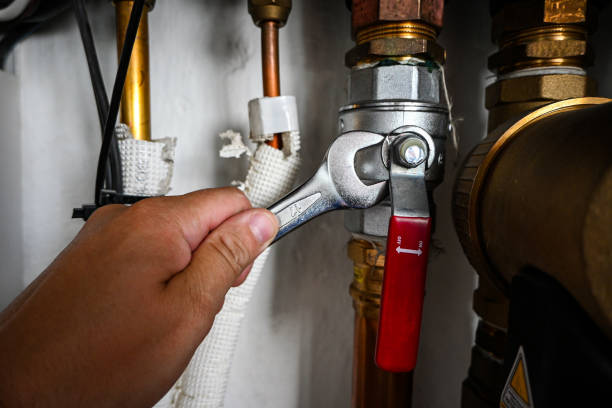 Best Plumbing Services Near Me  in Citronelle, AL